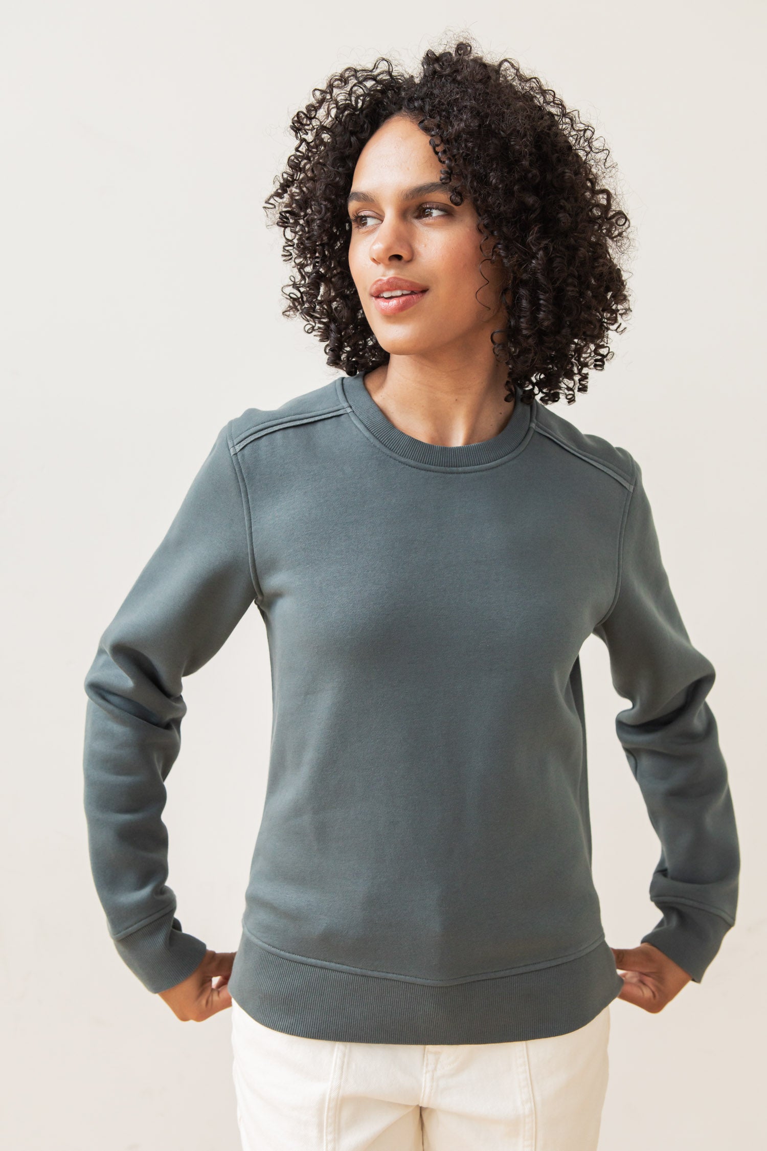 Bailey Crew Sweatshirt / Slate