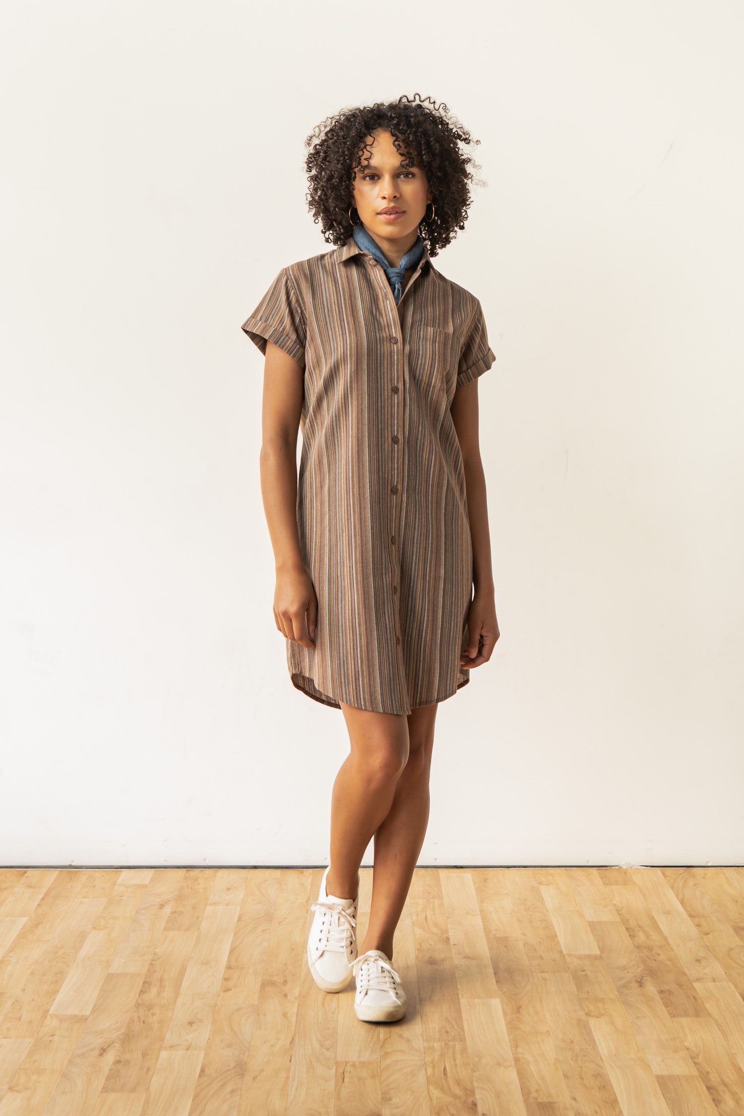 Loren Shirt Dress / Multistripe