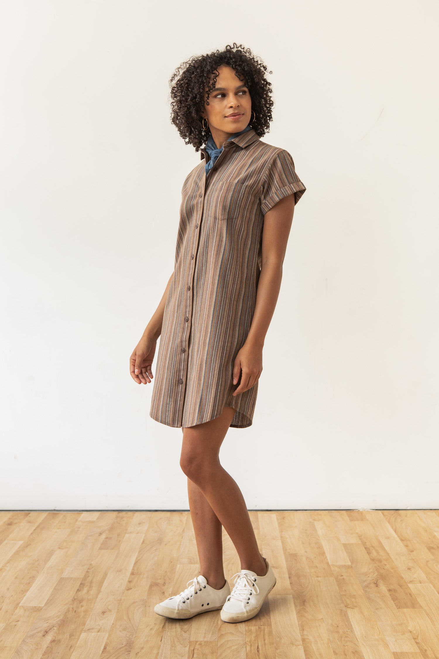 Loren Shirt Dress / Multistripe