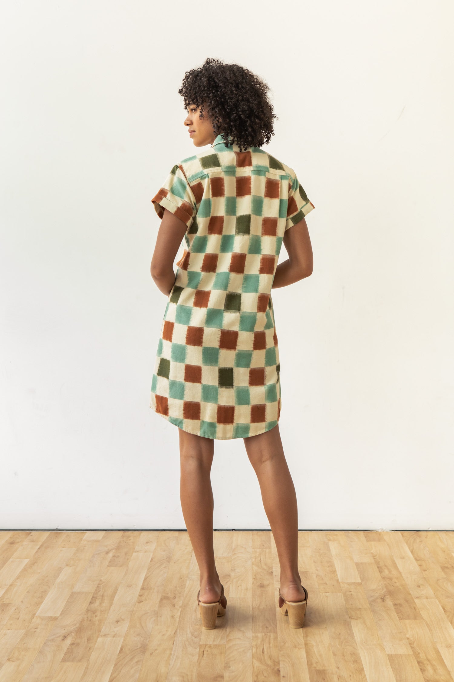 Loren Shirt Dress / Mod Checker