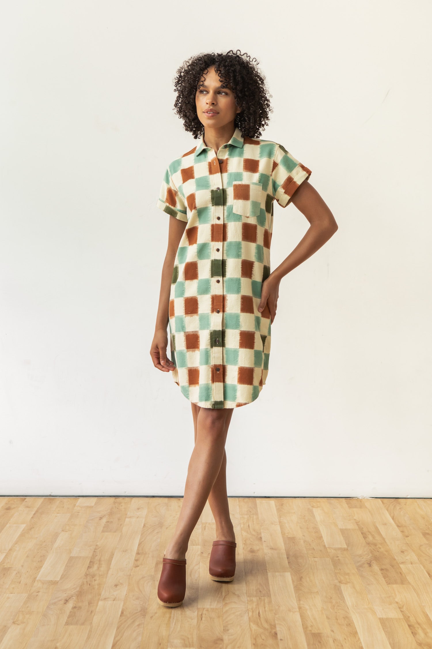 Loren Shirt Dress / Mod Checker