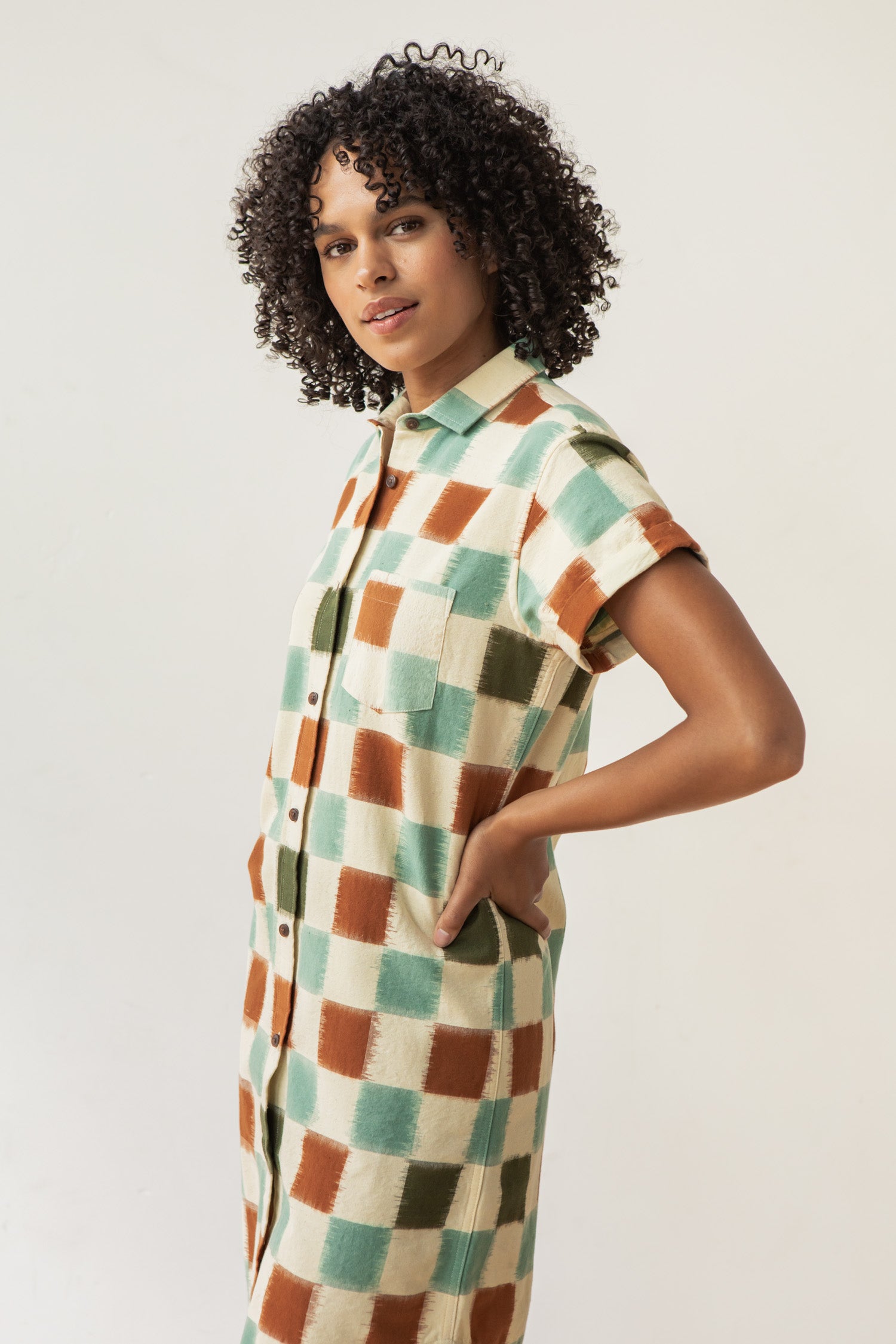 Loren Shirt Dress / Mod Checker