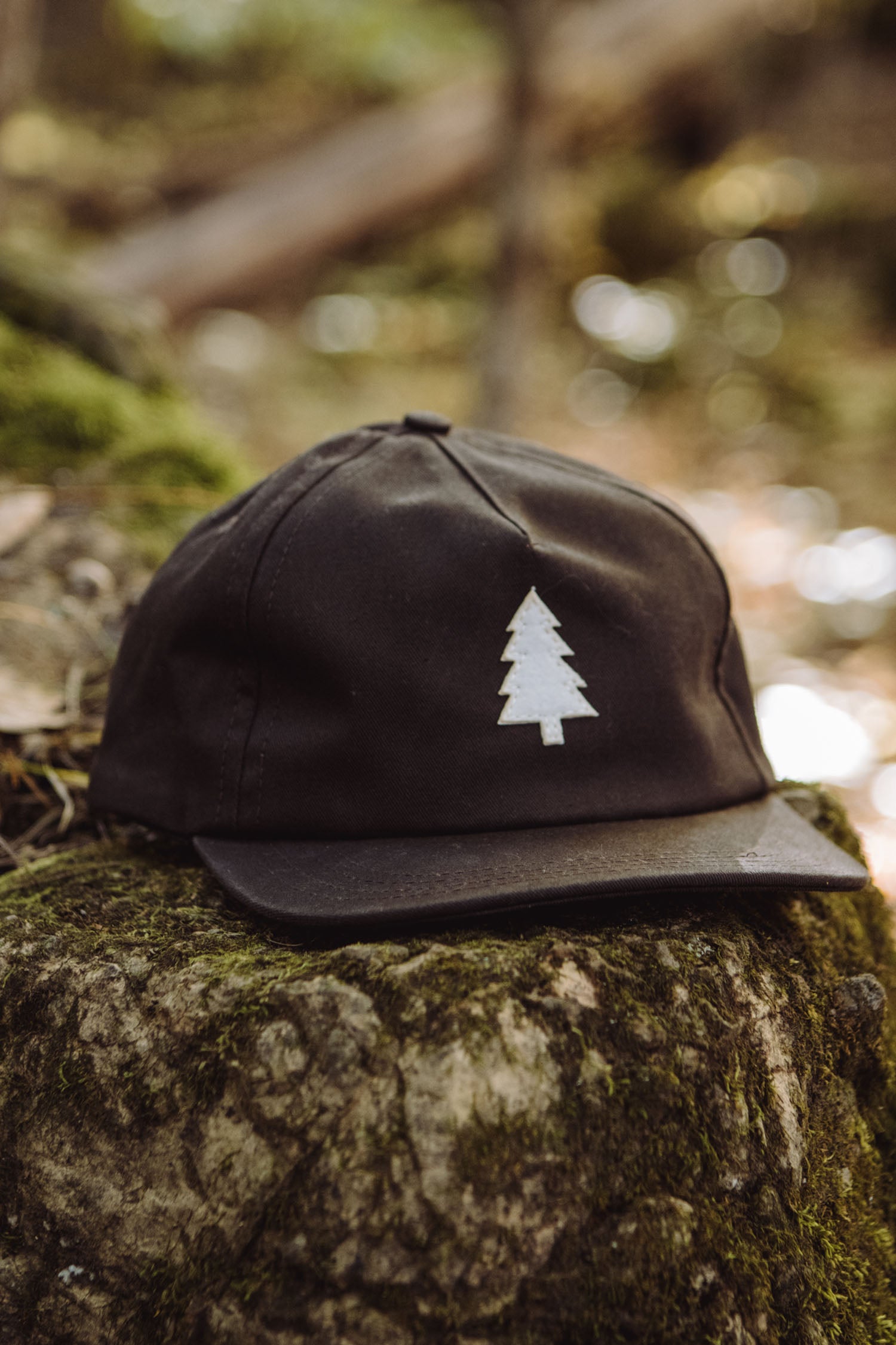 Tree Cap / Espresso